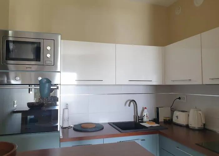 公寓 Blues Private Parking 诺威萨